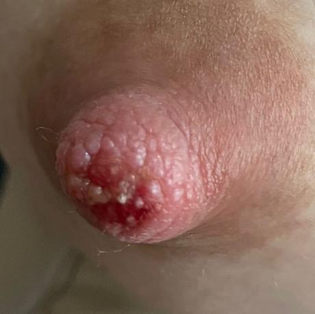 WhatsApp Image 2025 04 08 at 12.42.24